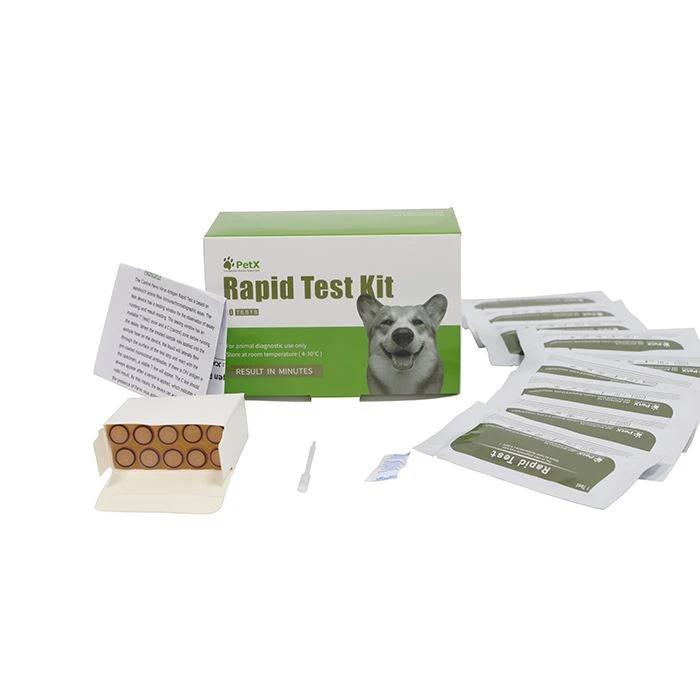 CBru Ab Canine Brucella antikorlari testi