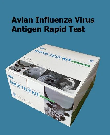 AIV Ag testi