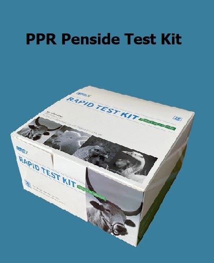 PPR Penside test to'plami